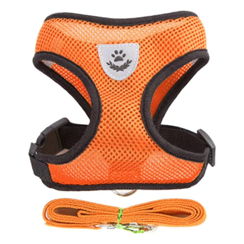 Breathable Vest for Small Dogs & Cats