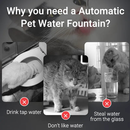 AquaWhisker Automatic Cat & Dog Fountain