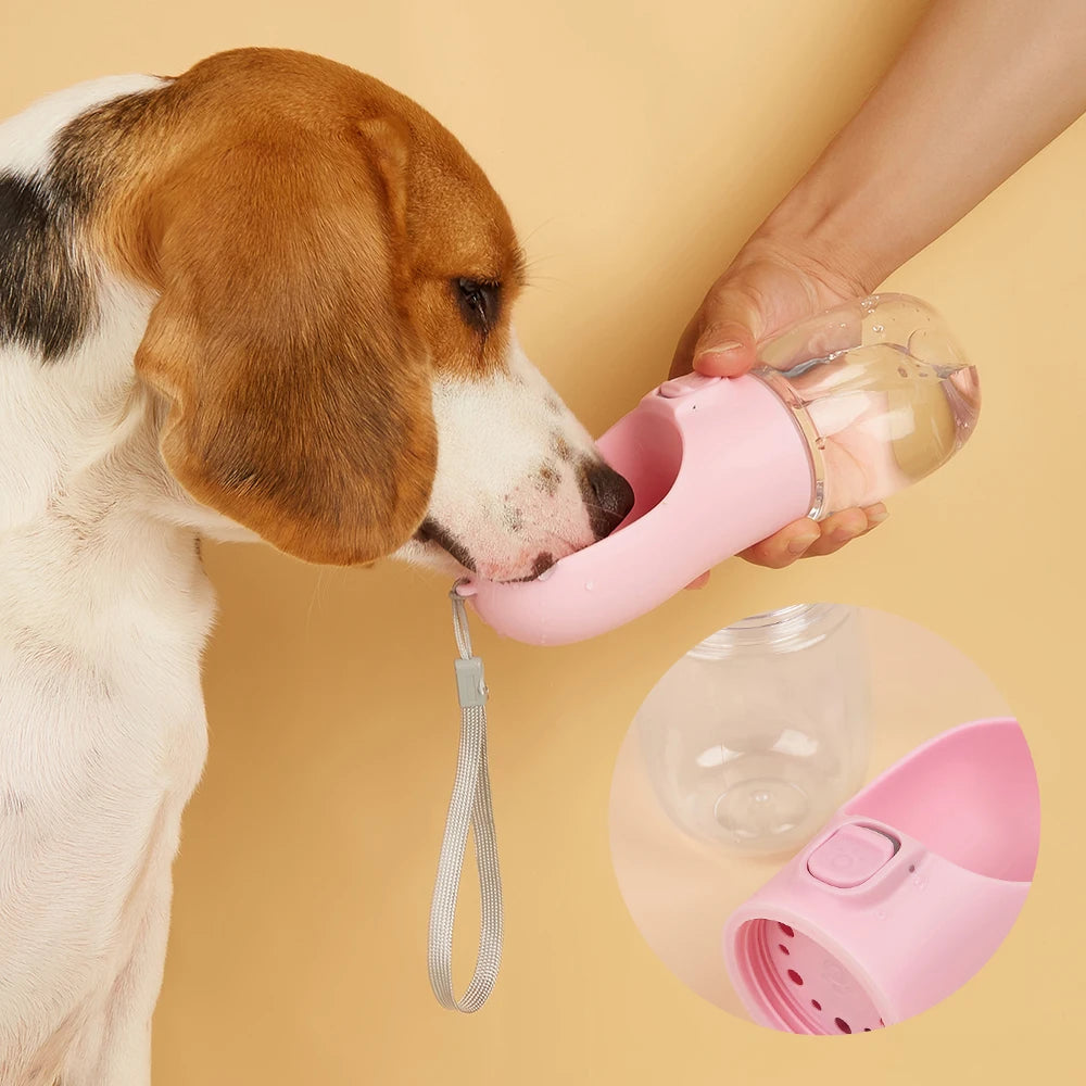 Outdoor Pet Hydration Bottle